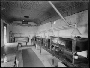 Egg incubators at a poultry farm