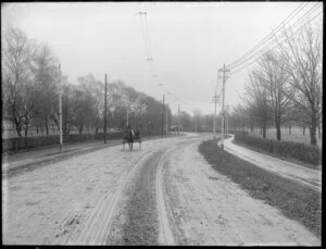 Horse and cart on avenue bordering Hagley Park, Christchurch