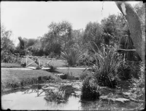 Malcolm house garden, Heathcote, Christchurch