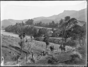 Rural scene with view of a cherry orchard under netting in the distance