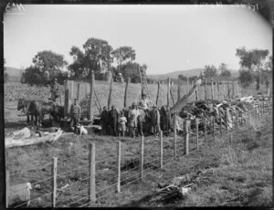 Maori family group with a maize crop