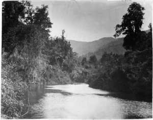 Scene on the Awaroa River, near Totaranui