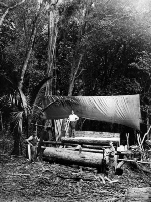 Timber workers pit sawing at a station in the Gisborne region