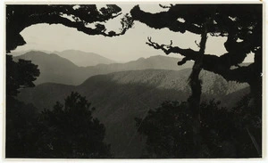 Creator Unknown :Photograph of Mount Holdsworth