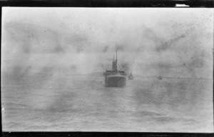 Australian / New Zealand WWI transports at King George Sound, Albany, Western Australia