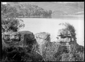 Ruaweka, Ponganui in the vicinity of Raglan, 1910 - Photograph taken by Gilmour Brothers