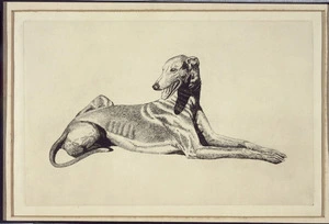 [Balfour, Charles], fl 1900s :[Greyhound. 1920-1940?]
