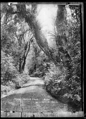 Track on Mt Egmont, in the Dawson Falls area - Photograph taken by Harry Graham