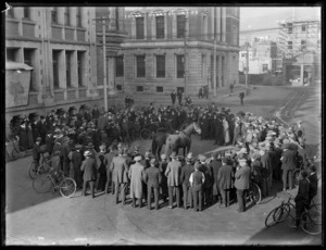 Crowd surrounding a boy with two horses, Cathedral Square, Christchurch