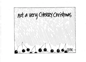 Not a very CHERRY Christmas. 5 January 2011