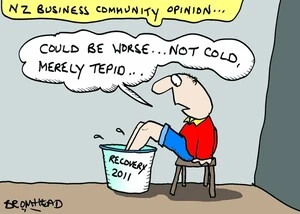 NZ business community opinion... 19 January 2011