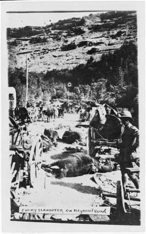 Dead horses on the Beirut Road, Palestine, during World War I