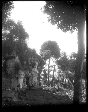 Maipito Bush, Chatham Islands