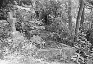 Davis family grave, plot 5602, Bolton Street Cemetery