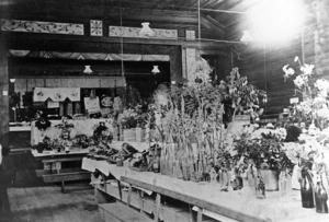 Flowers on display at the Kaponga Autumn Show