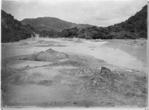 Bartlett, Robert Henry fl 1875-1880 :Photograph of mud terraces at Rotomahana
