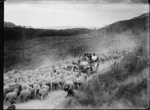 Car on a country road, surrounded by a drover's sheep