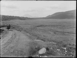 Horse-drawn carriage on a road near Taumarunui, Mt Tongariro in background