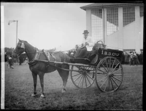 Bakery horse and cart, I B D Company Ltd, [Invercargill?]