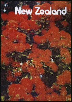 New Zealand. Tourist and Publicity Department :New Zealand. Pohutukawa flowers. Photography National Publicity Studios. Produced by the New Zealand Tourist and Publicity Department. P D Hasselberg, Government Printer, Wellington, New Zealand. HO489 / 12M/10/81. [1981]