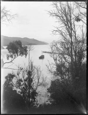 Unidentified marine view, possibly in Marlborough Sounds