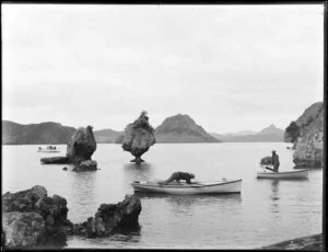 Rock formations at Whangaroa harbour, North Auckland