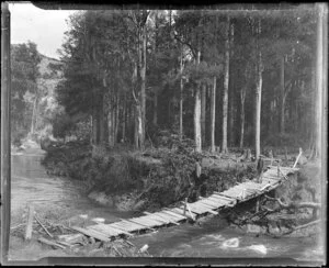 Footbridge over Hautapu River, near Taihape, Rangitikei