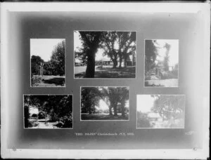 Six views of The Elms, Christchurch. Photographs taken by Samuel Heath Head, Christchurch