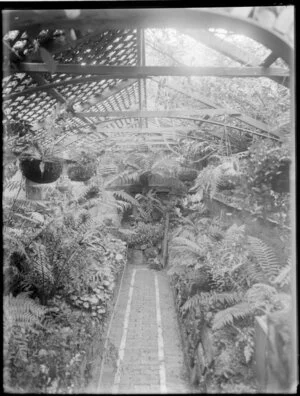 Interior of a screened but open fern house