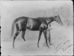 Drawing of the racehorse Carbine