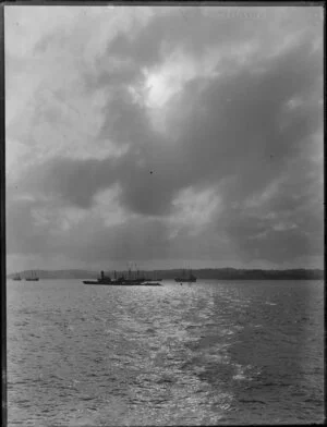 Auckland Harbour