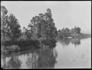 Waikato River, Waikato
