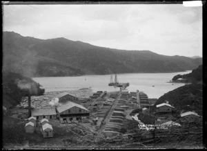 Kauri Timber Company mill, Whangaparapara Harbour, Great Barrier Island