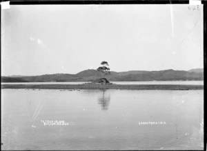 Te Teko Island, Raglan Harbour, 1910 - Photograph taken by Gilmour Brothers