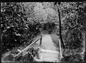 Garden path and bridge