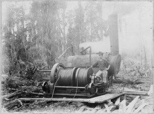 Steam log hauler, Eltham district