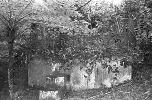 The grave of Dixon (first name unknown), plot 3520, Bolton Street Cemetery