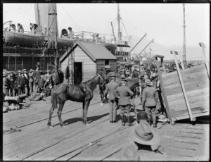 Horses being readied for departure by ship during World War One