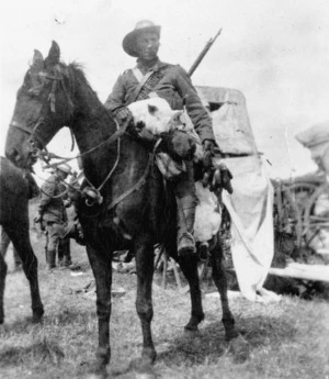 Unidentified scene from the South African War