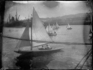 Yachts in Wellington Harbour