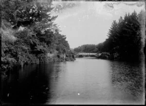 View of Poet's Bridge, Pukekura Park, New Plymouth