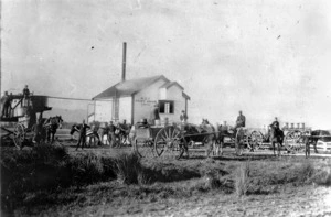 N Z F Dairy Union butter factory and horse drawn carts