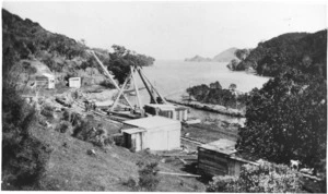 Whangaparapara, Great Barrier Island, showing the tramline used for transporting timber