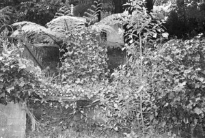 Dransfield family grave, plot 5101, Bolton Street Cemetery