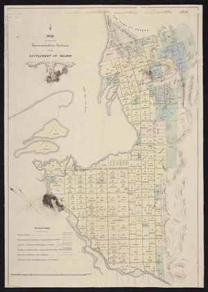 Map of part of the Accommodation Sections in the settlement of Nelson [by] Nathl. Edwards. [ca 1850] [ms map]