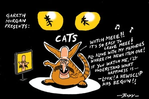 Gareth Morgan performs in the musical 'Cats'