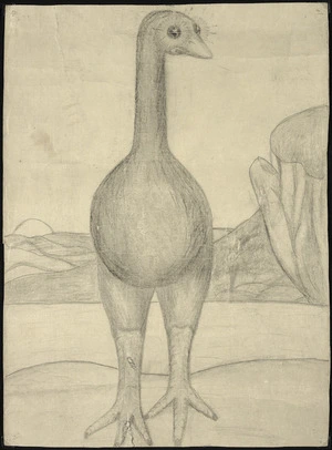 Drawing of extinct bird [moa?]