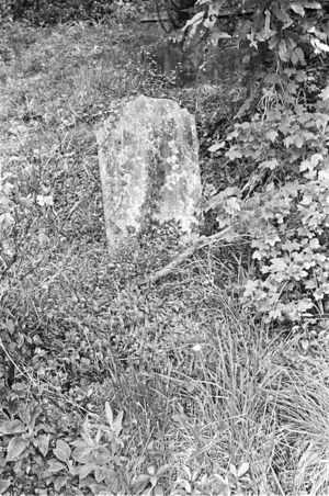 Emeny family grave, plot 5301, Bolton Street Cemetery