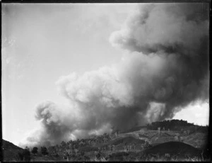Clearing land by fire, Northland
