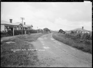 View of Waimana Avenue, Northcote, Auckland